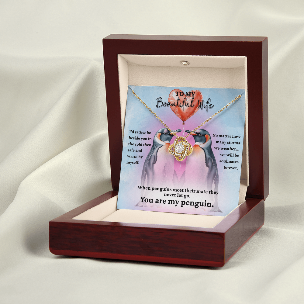 Love Knot Necklace for your Wife-She's your forever penguin