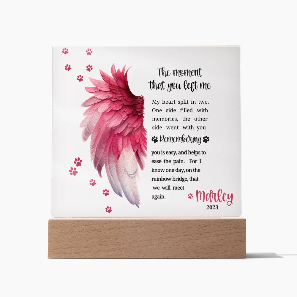 Pet Memorial acrylic plaque with LED lighted base-The moment that you left me