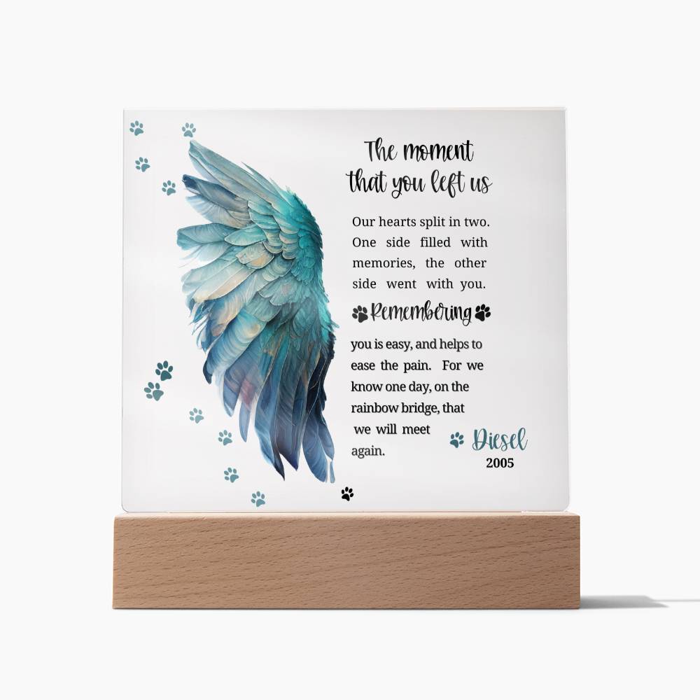 Pet Memorial acrylic plaque with LED lighted base-The moment that you left us