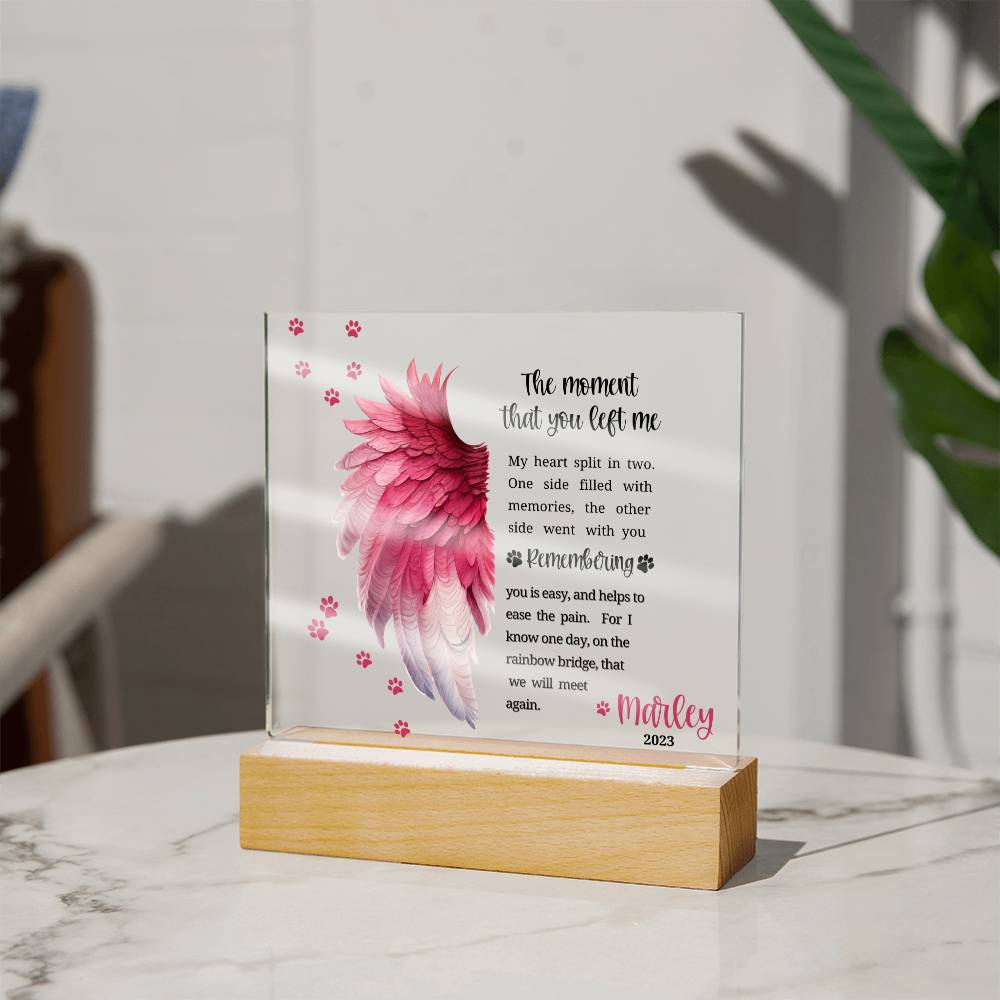 Pet Memorial acrylic plaque with LED lighted base-The moment that you left me