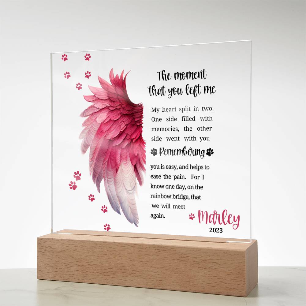 Pet Memorial acrylic plaque with LED lighted base-The moment that you left me