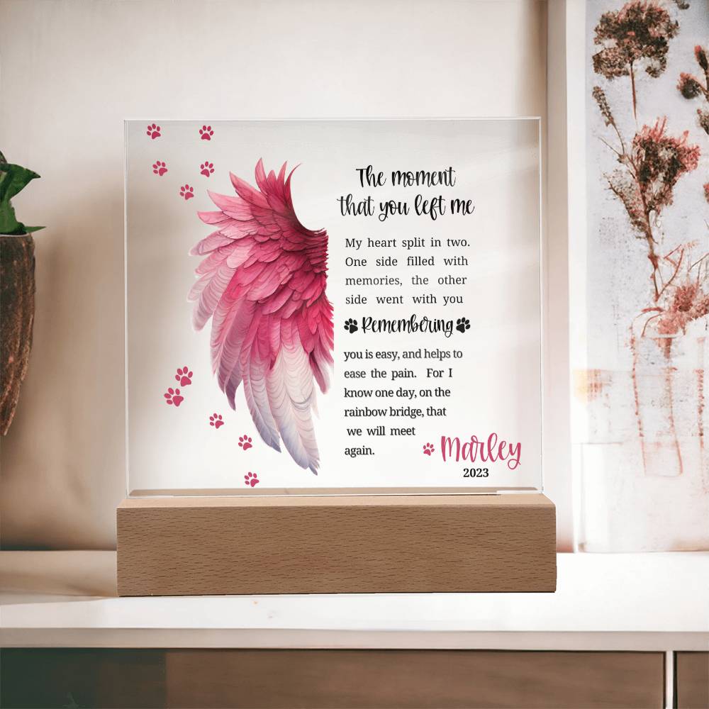 Pet Memorial acrylic plaque with LED lighted base-The moment that you left me