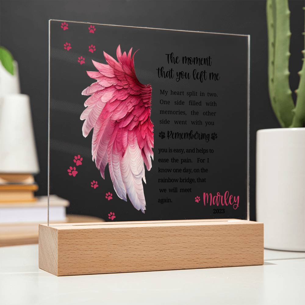 Pet Memorial acrylic plaque with LED lighted base-The moment that you left me