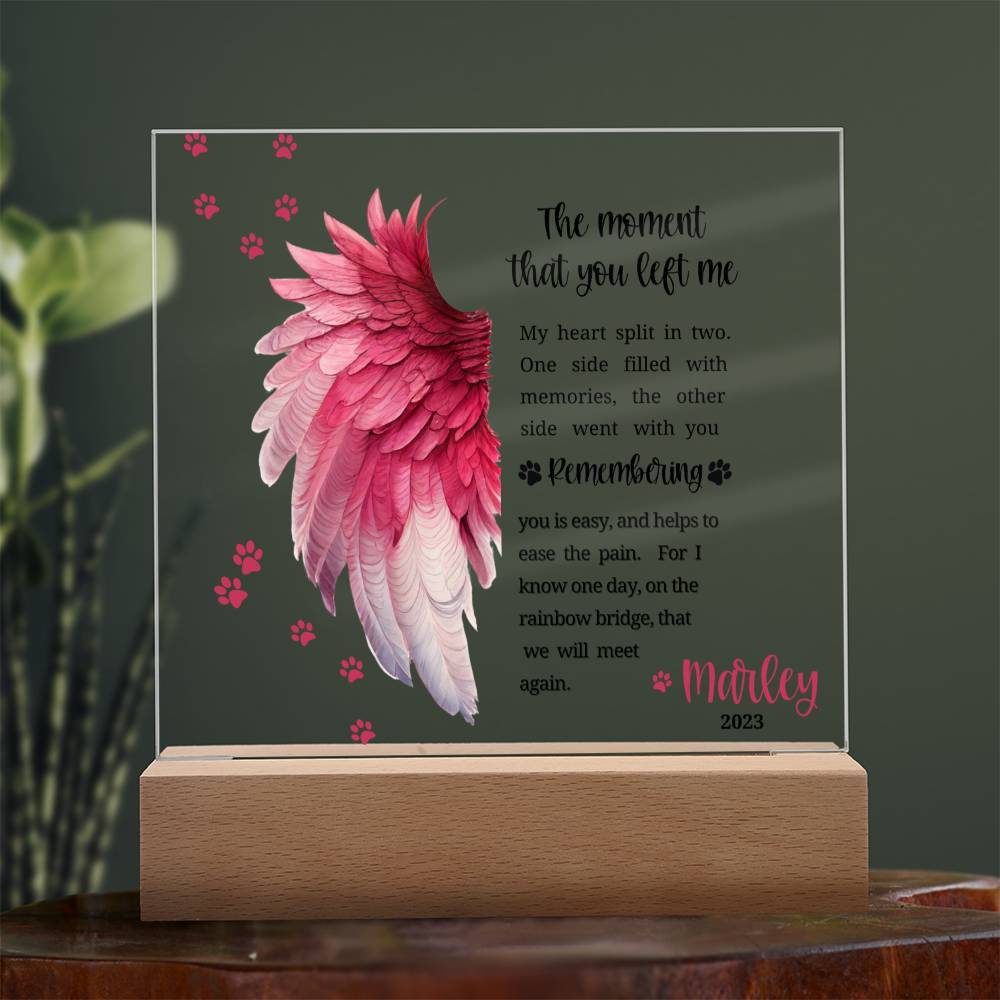 Pet Memorial acrylic plaque with LED lighted base-The moment that you left me