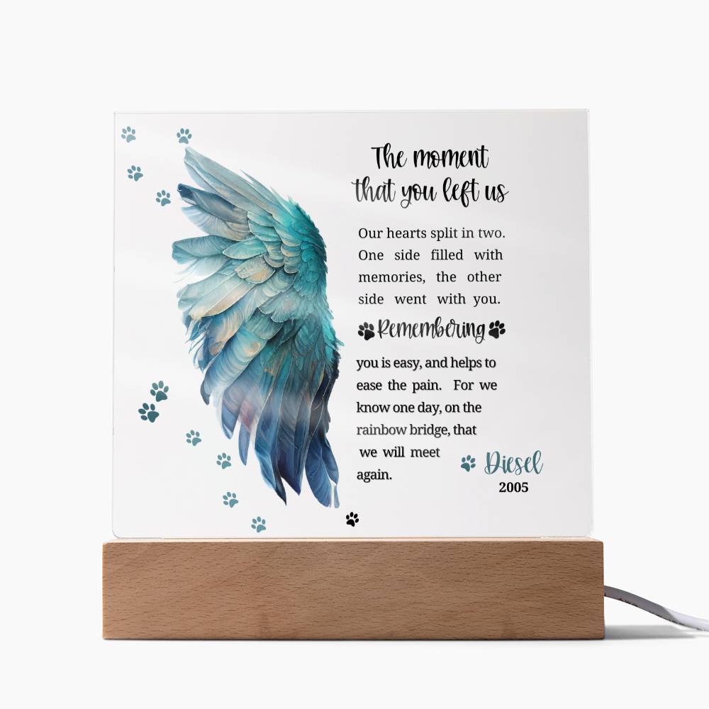 Pet Memorial acrylic plaque with LED lighted base-The moment that you left us