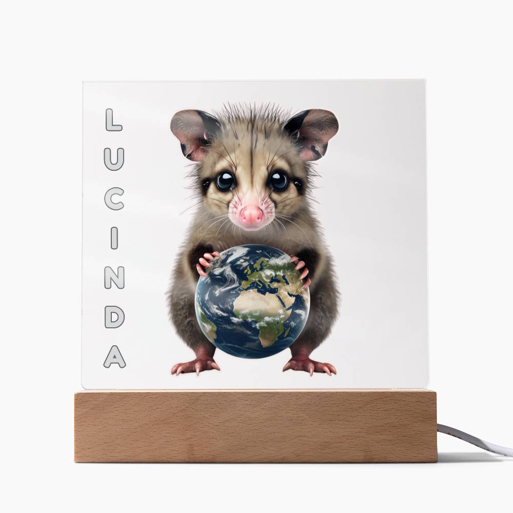 Personalized Possum Night Light. Cute Custom opossum sign. She's your whole world. Show your feral girl you get her! Baby animal plaque. Gift for girl