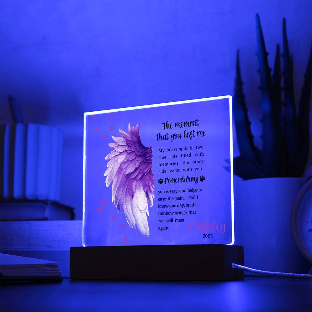 Pet Memorial acrylic plaque with LED lighted base-The moment that you left me