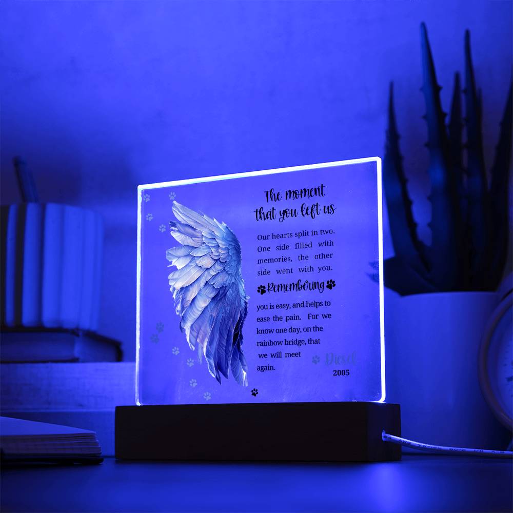 Pet Memorial acrylic plaque with LED lighted base-The moment that you left us