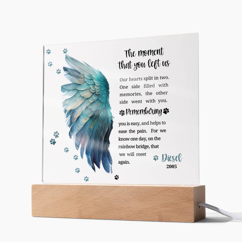 Pet Memorial acrylic plaque with LED lighted base-The moment that you left us