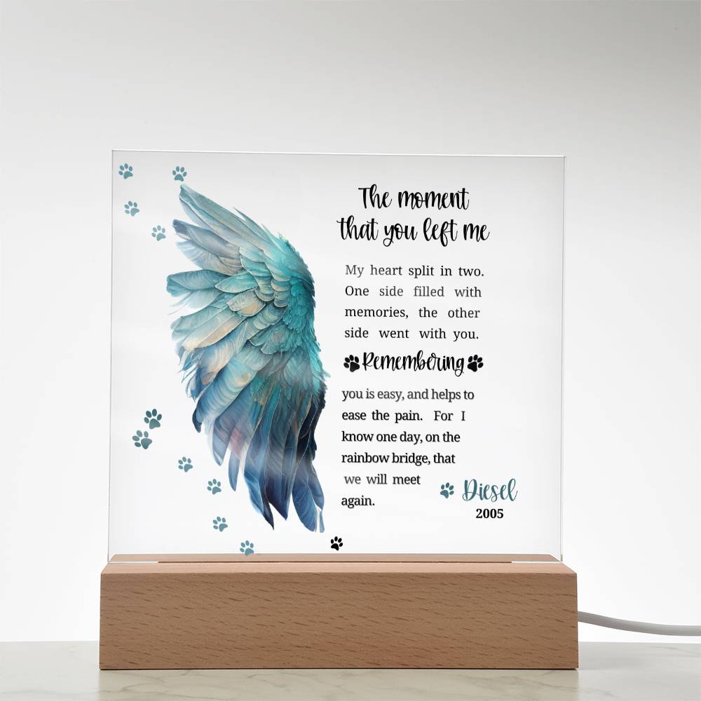 Pet Memorial acrylic plaque with LED lighted base-The moment that you left me