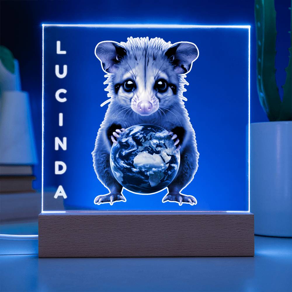 Personalized Possum Night Light. Cute Custom opossum sign. She's your whole world. Show your feral girl you get her! Baby animal plaque. Gift for girl