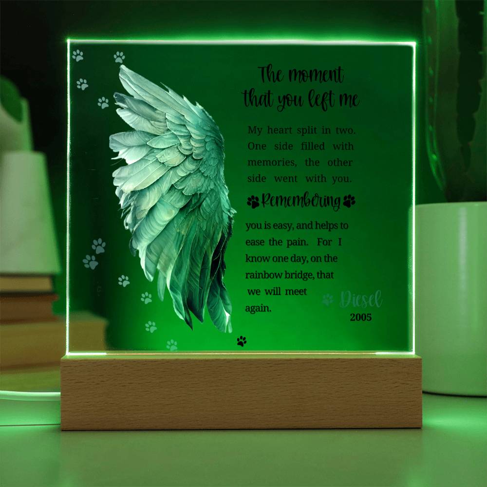Pet Memorial acrylic plaque with LED lighted base-The moment that you left me