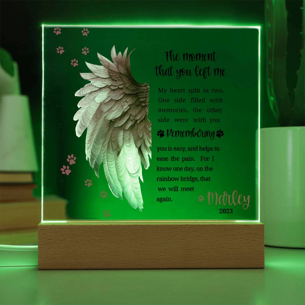 Pet Memorial acrylic plaque with LED lighted base-The moment that you left me