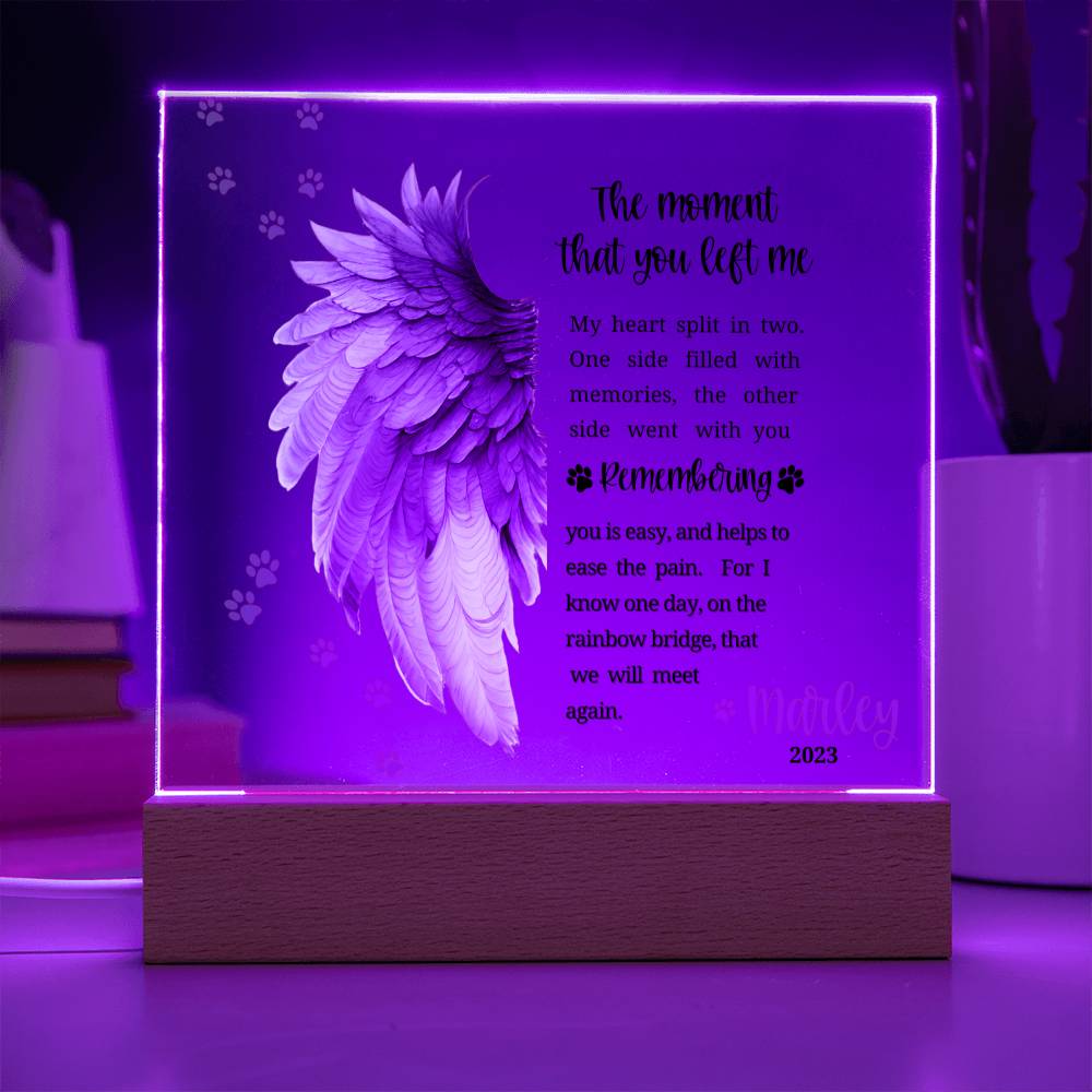 Pet Memorial acrylic plaque with LED lighted base-The moment that you left me