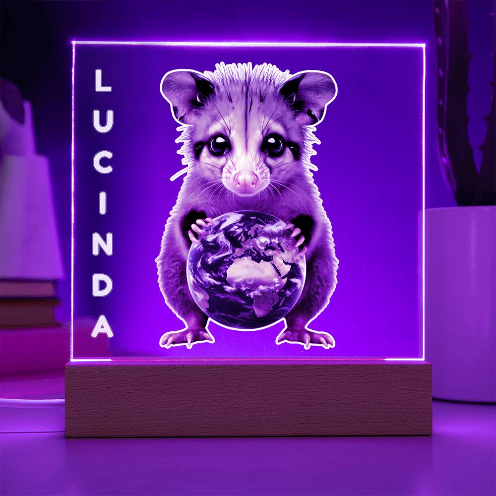 Personalized Possum Night Light. Cute Custom opossum sign. She's your whole world. Show your feral girl you get her! Baby animal plaque. Gift for girl