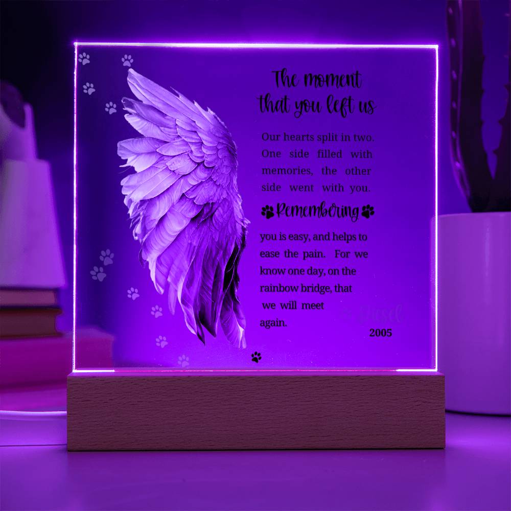 Pet Memorial acrylic plaque with LED lighted base-The moment that you left us