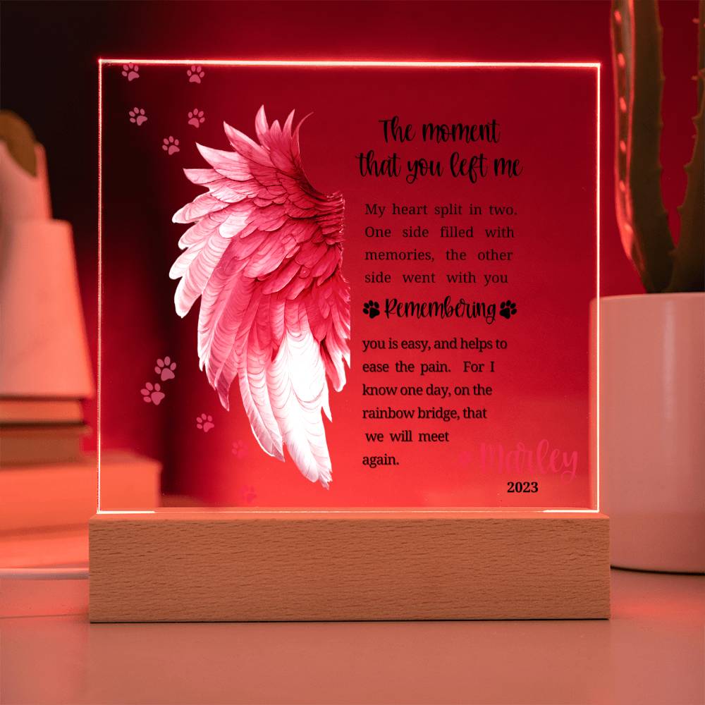 Pet Memorial acrylic plaque with LED lighted base-The moment that you left me