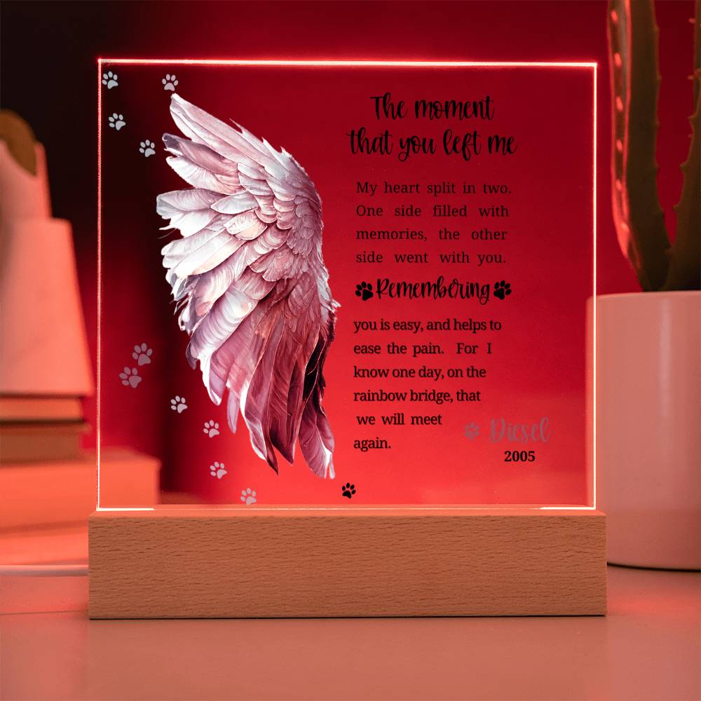Pet Memorial acrylic plaque with LED lighted base-The moment that you left me