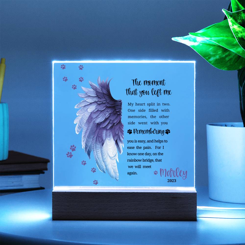 Pet Memorial acrylic plaque with LED lighted base-The moment that you left me