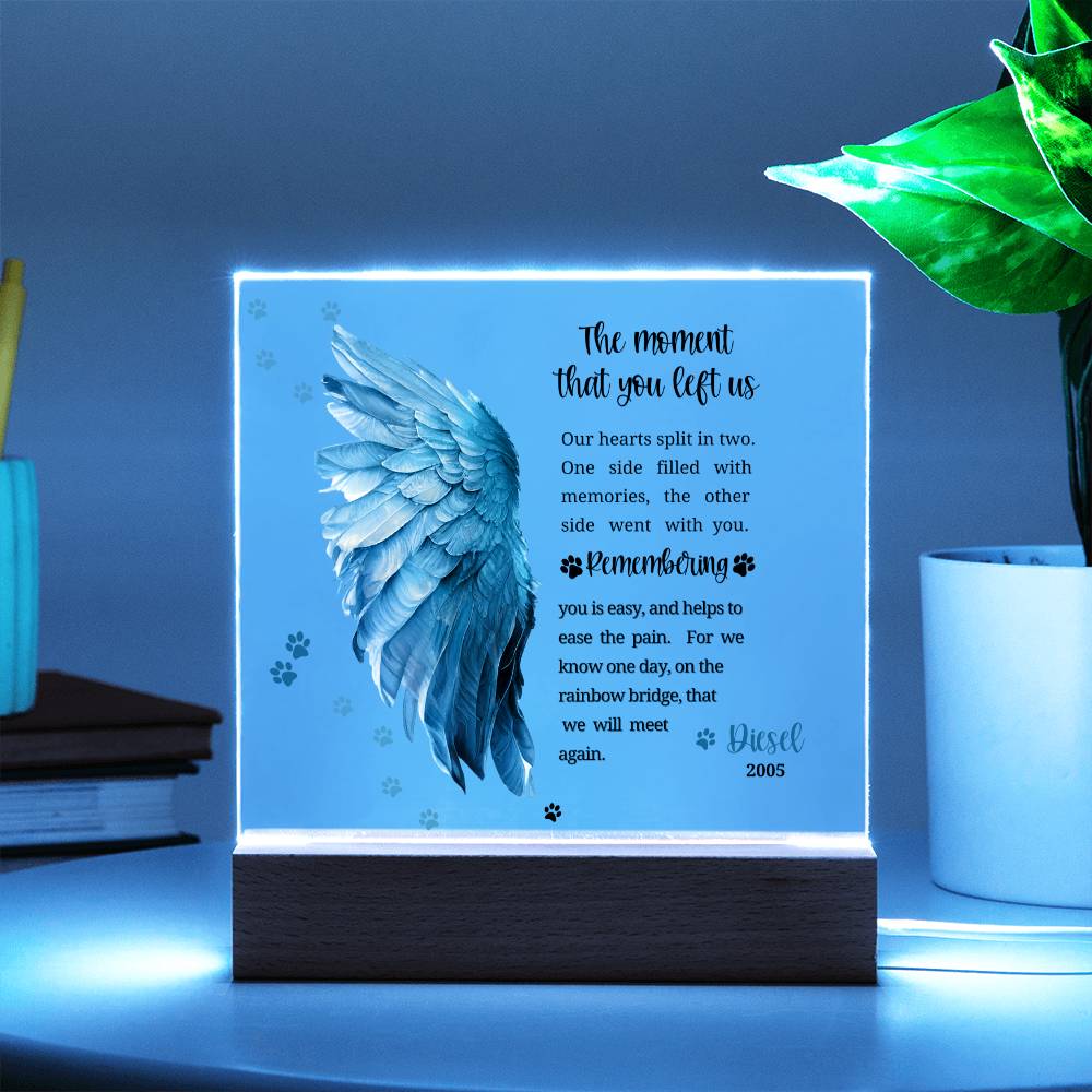 Pet Memorial acrylic plaque with LED lighted base-The moment that you left us