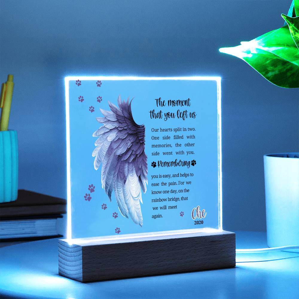 Pet Memorial acrylic plaque with LED lighted base-The moment that you left us