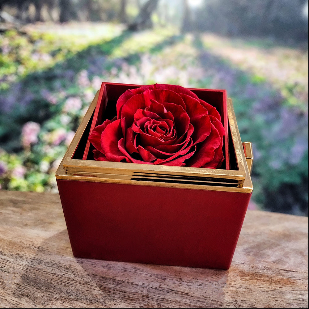 💖To My Beautiful Wife – Love Knot Necklace in Preserved Rose Box | Romantic Gift from Husband
