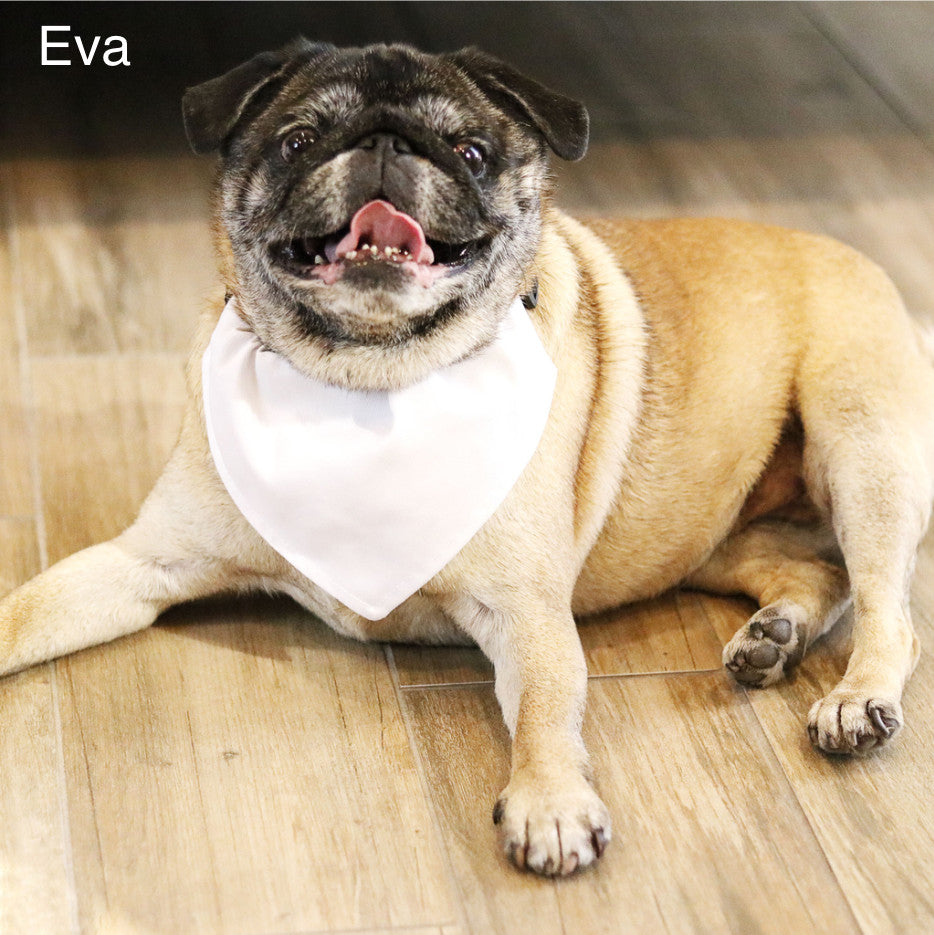 Personalized Pet Bandana-Peace, Love, Paw !