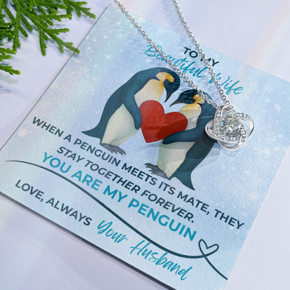 Love Knot Necklace for Wife – “You Are My Penguin” Romantic Jewelry Gift from Husband – Available in Yellow or White Gold finish – Upgraded mahogany box available