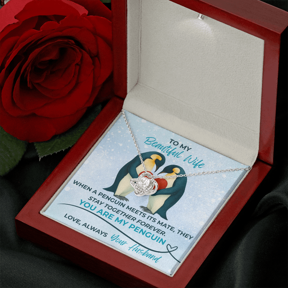Love Knot Necklace for Wife – “You Are My Penguin” Romantic Jewelry Gift from Husband – Available in Yellow or White Gold finish – Upgraded mahogany box available
