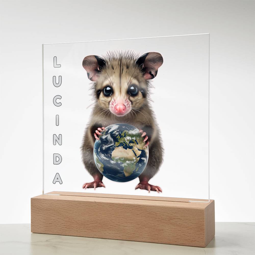 Personalized Possum Night Light. Cute Custom opossum sign. She's your whole world. Show your feral girl  you get her! Baby animal plaque. Gift for girl