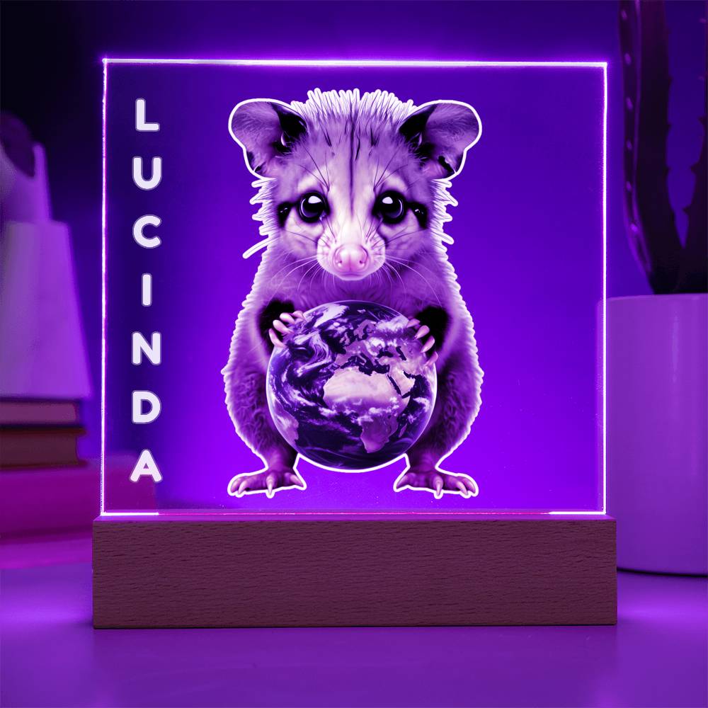 Personalized Possum Night Light. Cute Custom opossum sign. She's your whole world. Show your feral girl  you get her! Baby animal plaque. Gift for girl