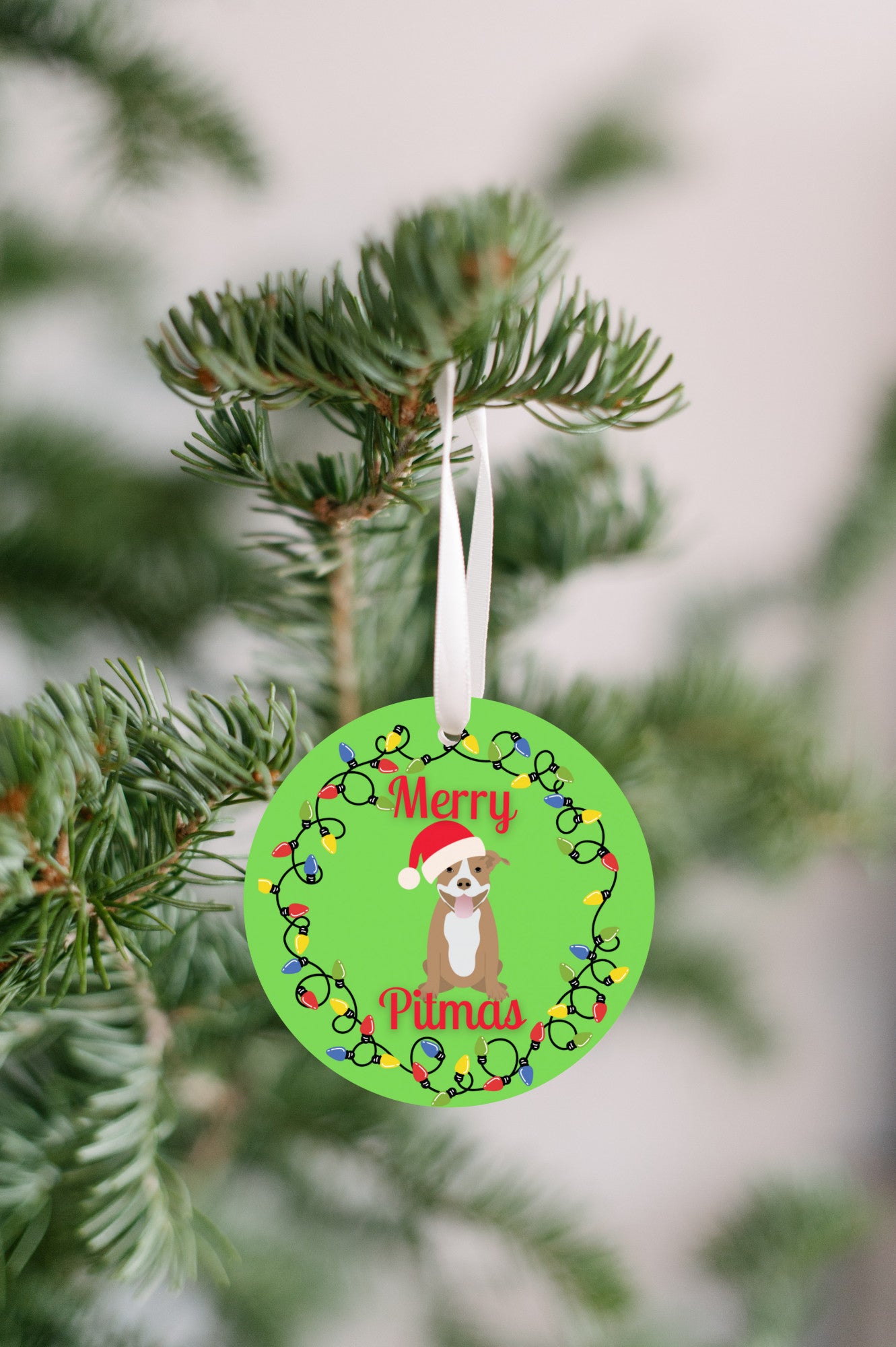 Merry Pitmas ornament-red nose pitt Christmas gift